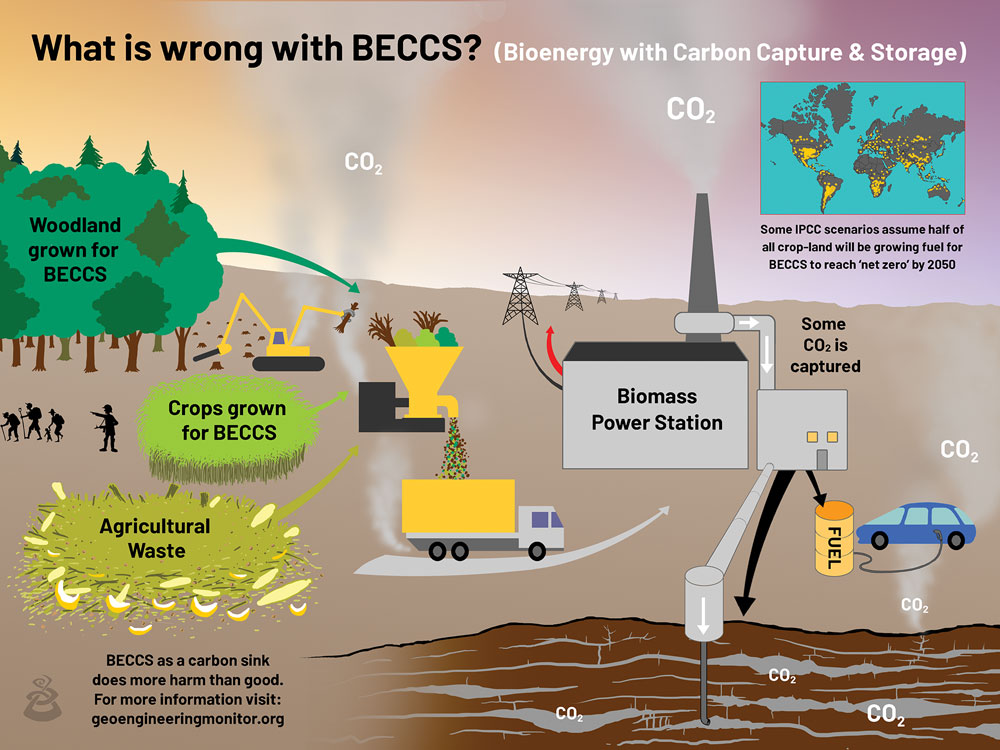 An image showing Bioenergy with carbon capture and storage