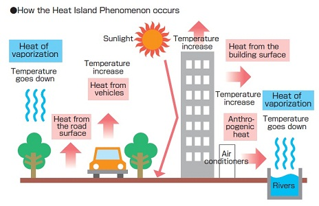 An image showing the process of  heat island effect.