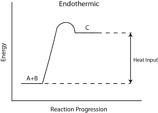 A graph showing an endothermic reaction.
