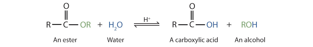 Hydrolysis of Esters in the presence of an acid catalyst.
