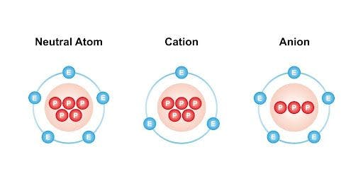 Neutral atom and cation vs anion