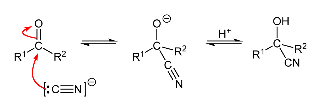 Mechanism of Cyanohydrin Formation