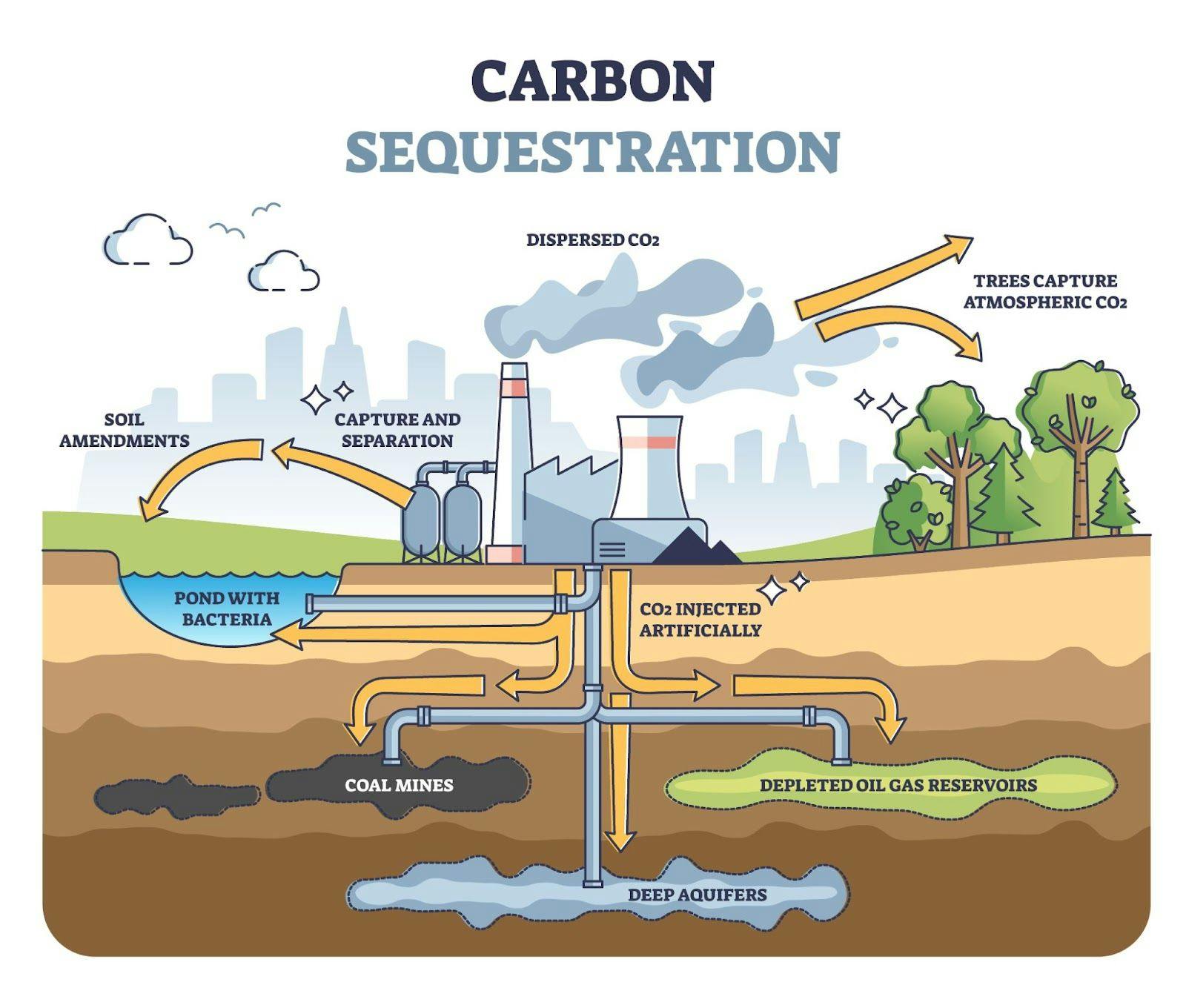 An image showing carbon sequestration