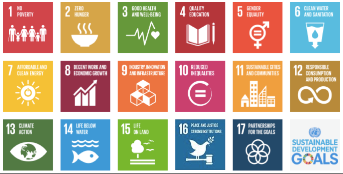 An image showing Sustainable Development Goals (SDG)