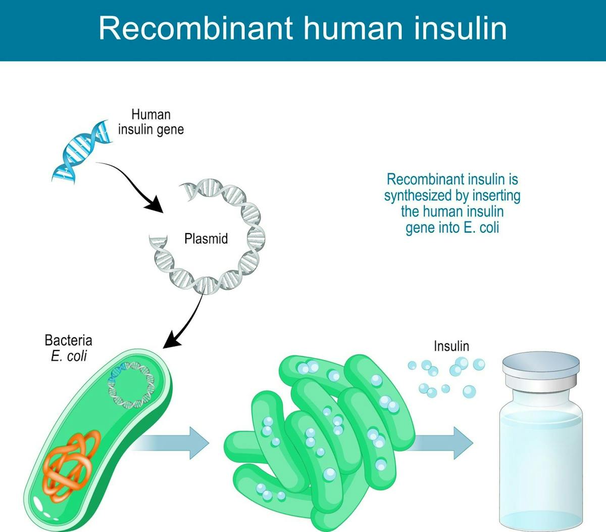 Recombinant human insulin